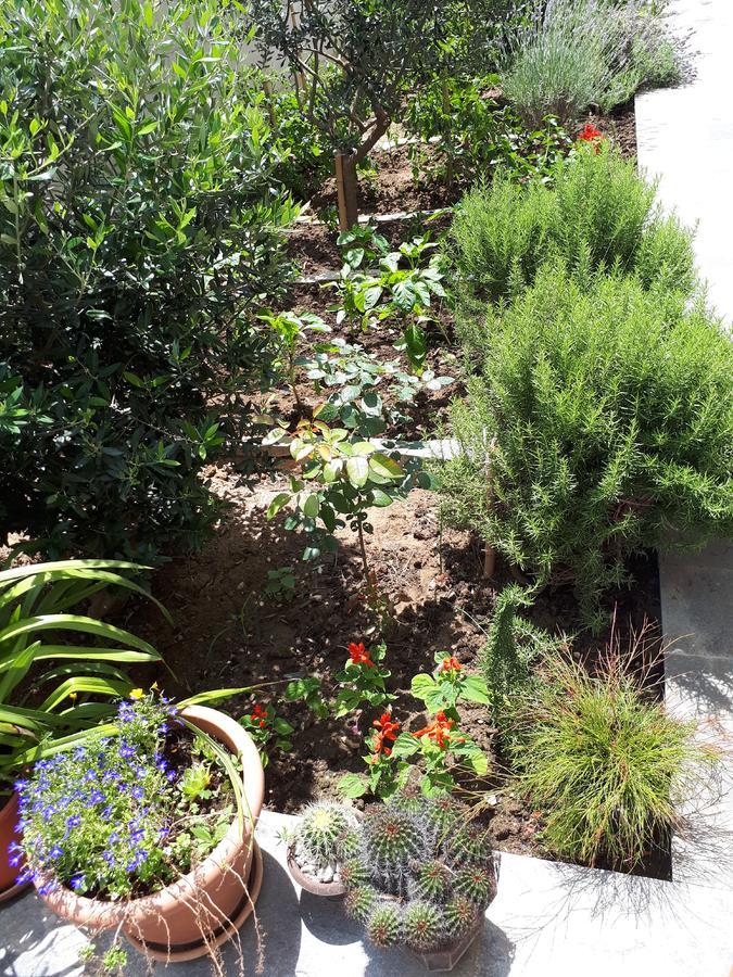 Apartments Brezanin Sutomore Luaran gambar